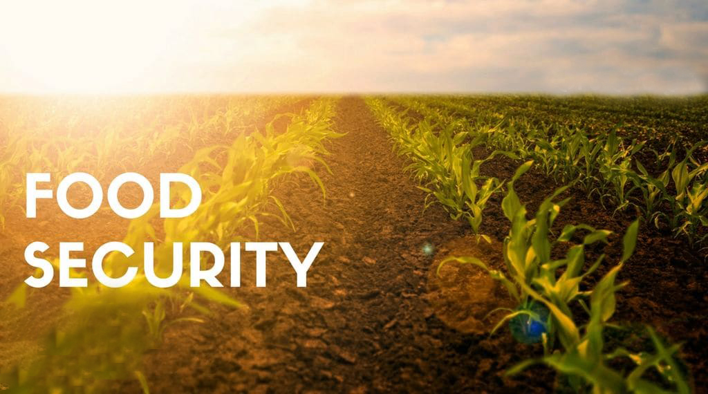 Food Security Programs